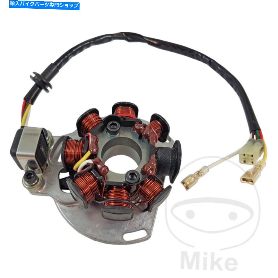 Alternators Husaberg TE 250 Enduro 2011-2014オルタネーターステーター Husaberg TE 250 Enduro 2011 - 2014 Alternator Stator【並行輸入品】｜Us Custom Parts Shop USDM