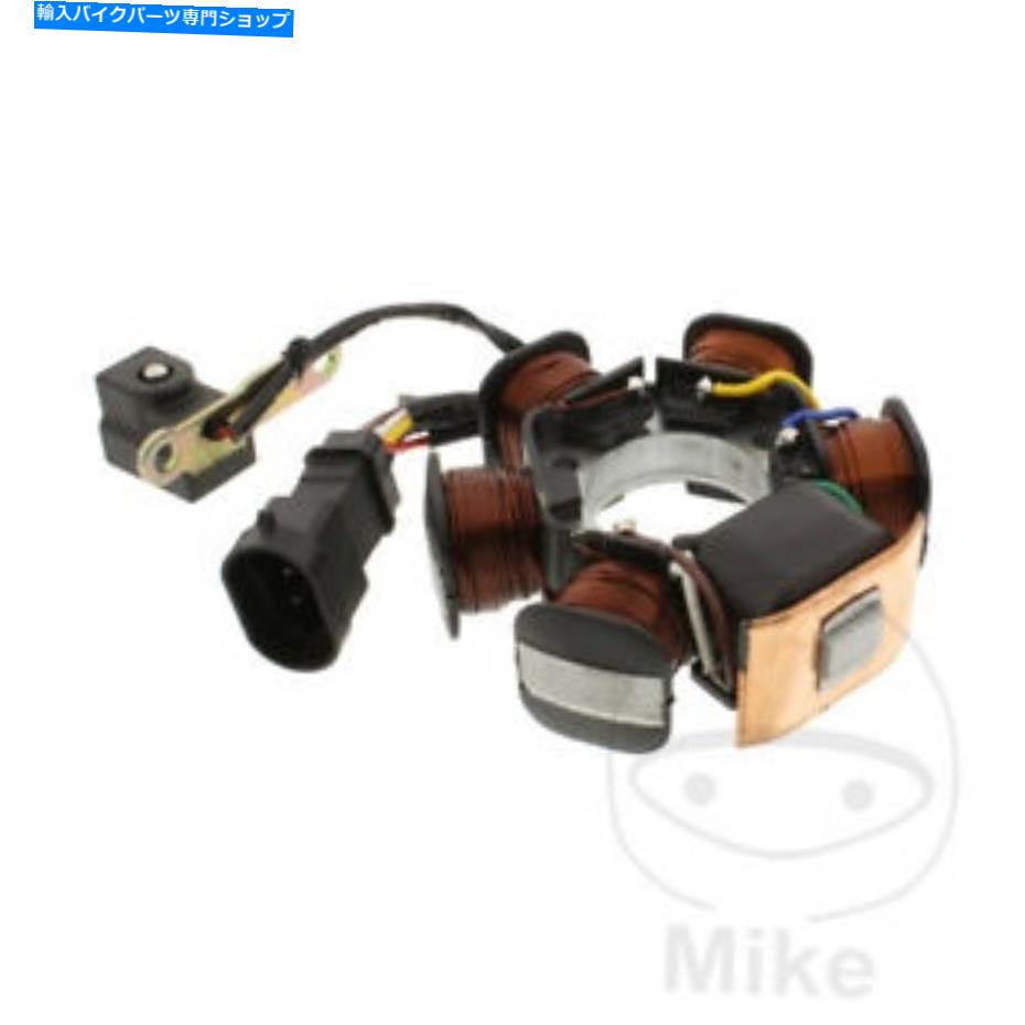 Alternators Apryia Sr 50 R LC 2005-2018オルタネーターステーター Aprilia SR 50 R LC 2005 - 2018 Alternator Stator【並行輸入品】