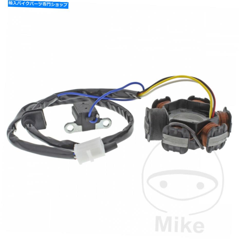 Alternators Sachs Sr 50 Samba 1996-1997オルタネーターステーター Sachs SR 50 Samba 1996 - 1997 Alternator Stator【並行輸入品】