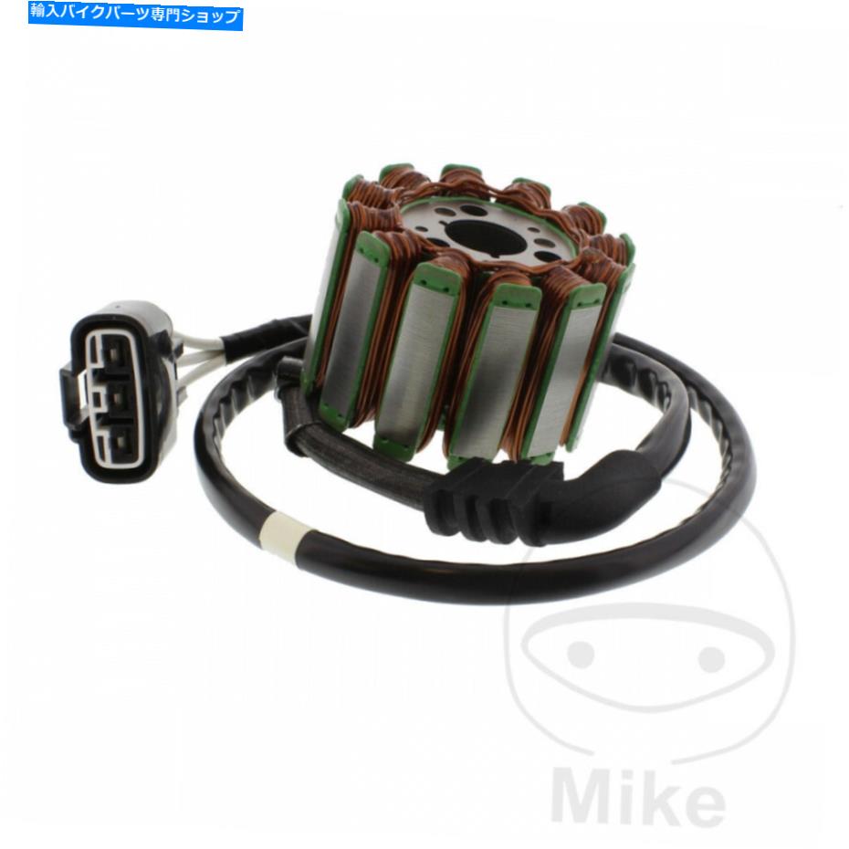 Alternators ヤマハFZ8 800 NA ABS 2011-2013オルタネーターステーター30 Yamaha FZ8 800 NA ABS 2011 - 2013 Alternator Stator 30【並行輸入品】
