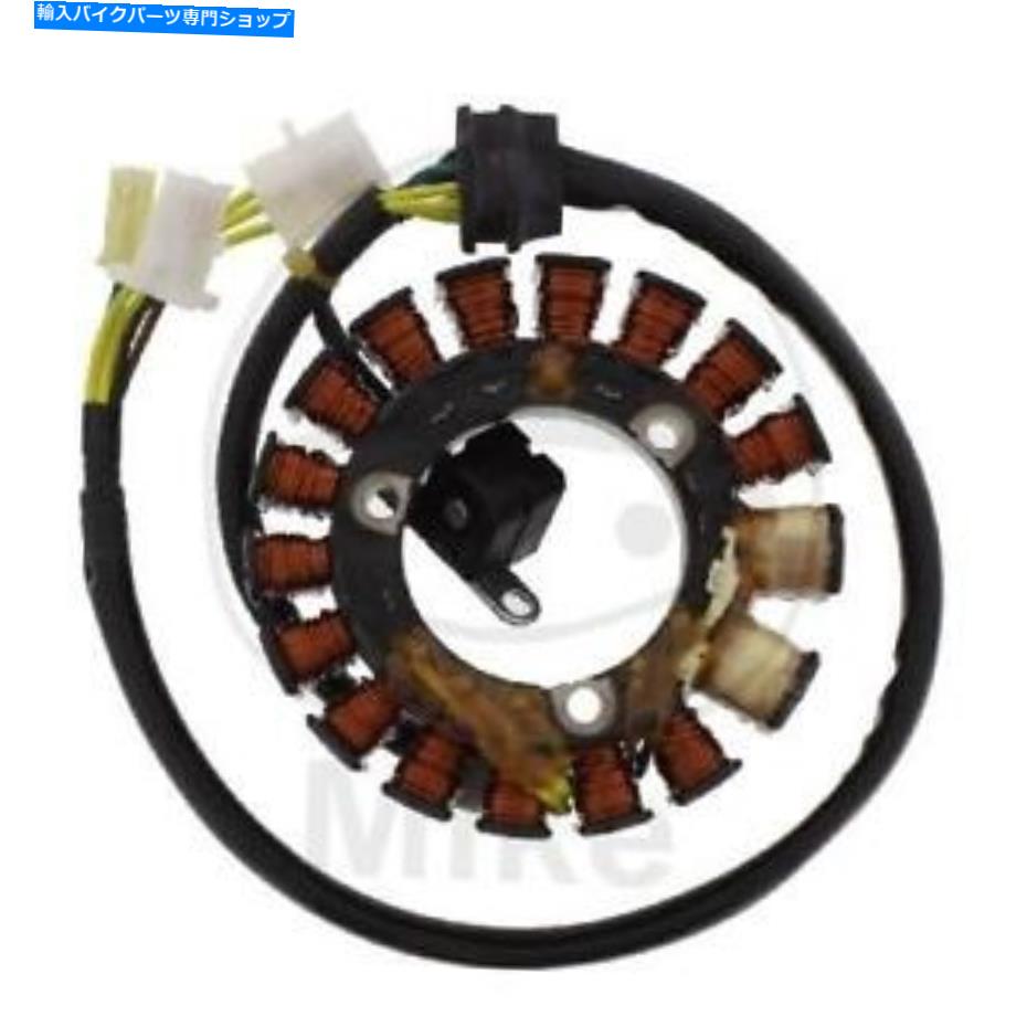 Alternators スズキDR 650＃1991-1996のオルタネーターアーマチュアステータージェネレーターTMX Alternator Armature Stator Generator TMX for Suzuki DR 650 # 1991-1996【並行輸入品】