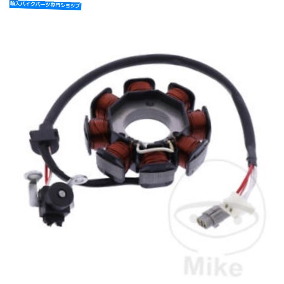 Alternators ベータRe 125 2009-2017オルタネーターステーター Beta RE 125 2009 - 2017 Alternator Stator【並行輸入品】