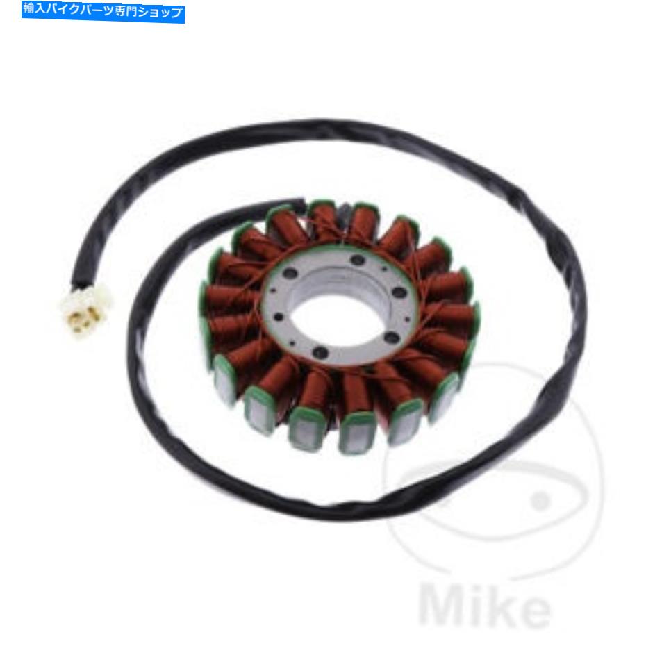 Alternators Triumph Tiger 1050 ABS 2007- 2011オルタネーターステーター Triumph Tiger 1050 ABS 2007 - 2011 Alternator Stator【並行輸入品】