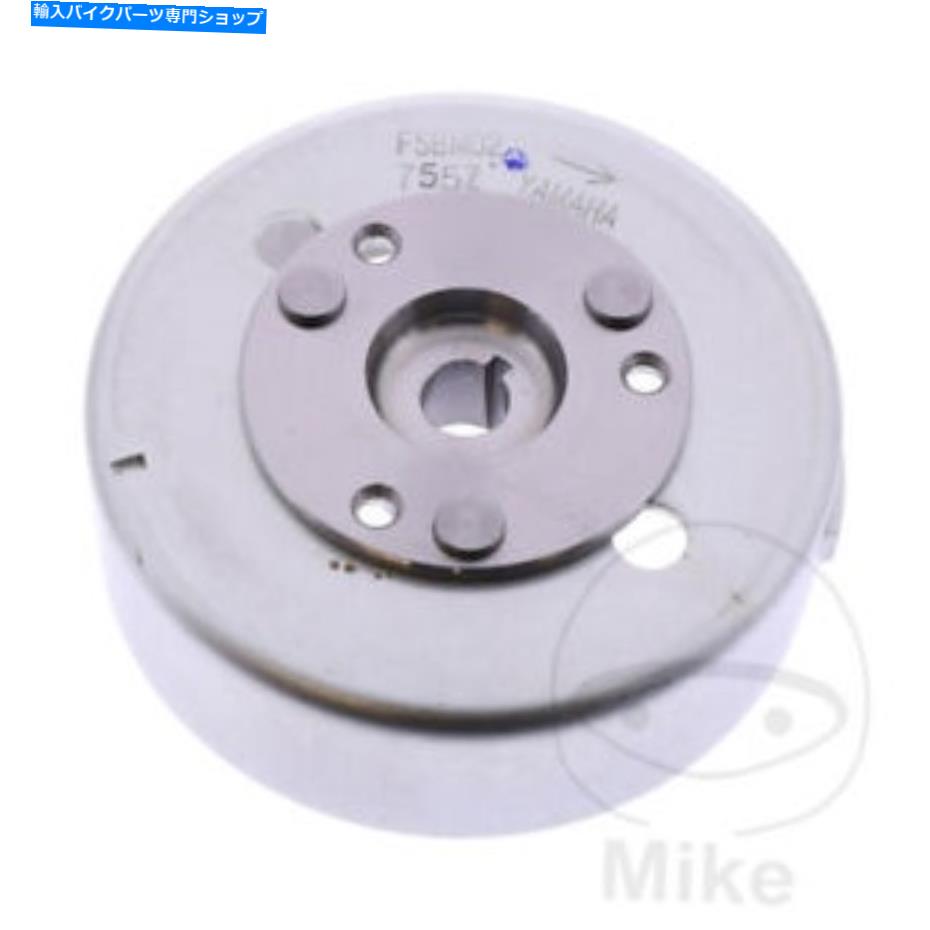 Alternators ベータアーク50＃2007-2014用のオルタネーターローターオリジナル Alternator rotor original for Beta Ark 50 # 2007-2014【並行輸入品】