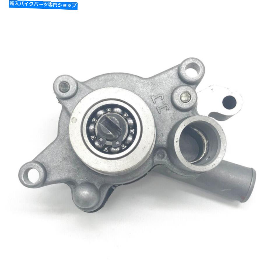 Water Pump ステル300b 300cc ATV Quad Parts lu019252のウォーターポンプアセンブリ Water Pump assy For Stels 300B 300CC ATV Quad Parts LU019252【並行輸入品】