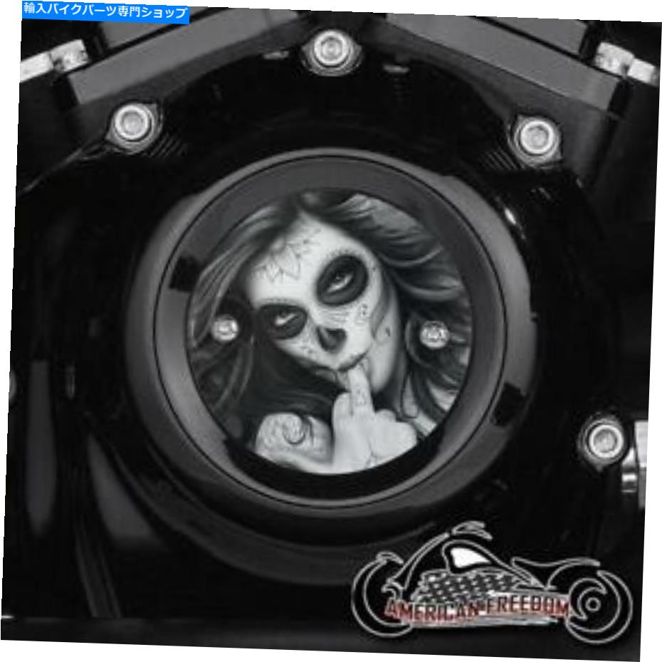 Engine Covers ハーレーデビッドソンミルウォーキー8 8つのタイミングポイントカバーM8エンジンM-Fギャル HARLEY DAVIDSON MILWAUKEE 8 EIGHT TIMING POINTS COVER M8 ENGINE M-F GAL【並行輸入品】