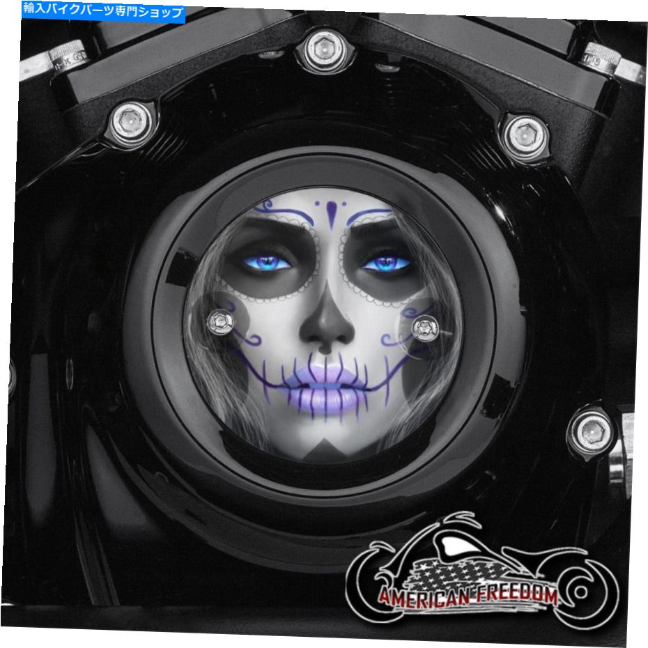 Engine Covers ハーレーデイビッドソンミルウォーキー8 8つのタイミングポイントカバーM8 Day of the Dead HARLEY DAVIDSON MILWAUKEE 8 EIGHT TIMING POINTS COVER M8 DAY OF THE DEAD【並行輸入品】