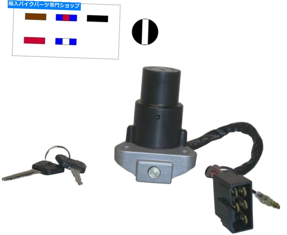 Switches 738633ヤマハRD350 YPVS 83-95のイグニッションスイッチ（6ワイヤ、DESCを参照）594610H 738633 Ignition Switch for Yamaha RD350 YPVS 83-95 (6 wires, see desc) 594610H【並行輸入品】