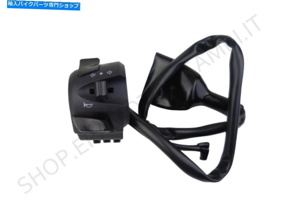 Switches 271390558-0001スイッチライトスイッチスイッチ左OEMボージヴァリコ500 DS DSX 271390558-0001 Switch Lights Switch Left OEM VOGE VALICO 500 DS Dsx【並行輸入品】