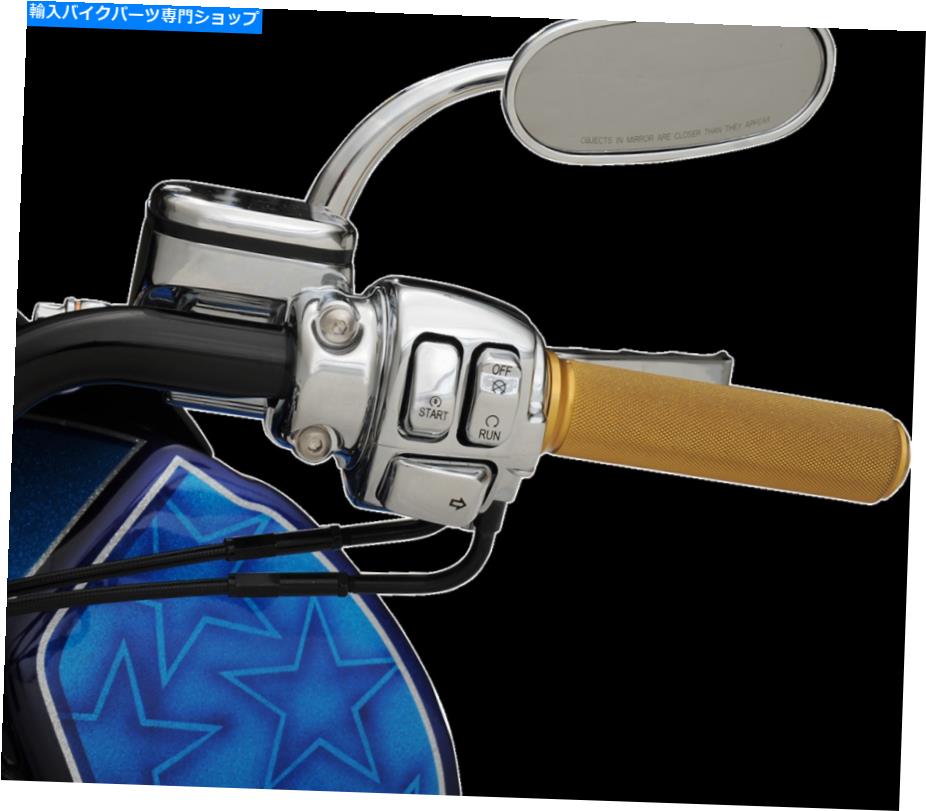Switches DS Chrome 6ボタンハンドルバースイッチキットWワイヤーリードツアーグライド1996 DS Chrome 6 Button Handlebar Switch Kit w Wire Leads Tour Glide 1996【並行輸入品】 55,297円