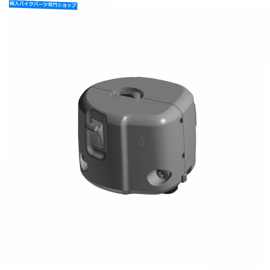 Switches ポラリススイッチキューブ、左、本物のOEMパート4014451、数量1 Polaris Switch Cube, Left, Genuine OEM Part 4014451, Qty 1【並行輸入品】