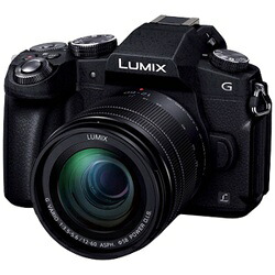 Panasonic パナソニック部分品吊りひも：DDMC-G8M-K LUMIX G8【判定基準望遠レンズ一揃いの道具】DMC-G8M-K（銀鏡受け答え一眼写真機）