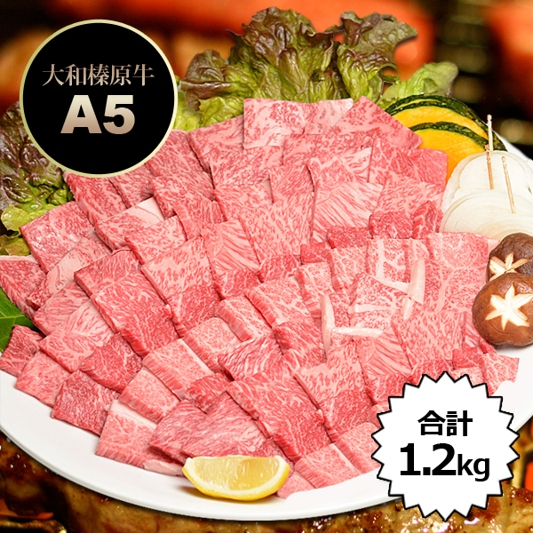 大和榛原牛 A5 プレミアム 焼肉 バーベキュー セット 稀少部位も入った1 2kg 送料無料牛肉 焼肉用 黒毛和牛 焼肉 A5 焼き肉 ヤキニク q カルビ かるび Rcp Pnima Magazine Co Il