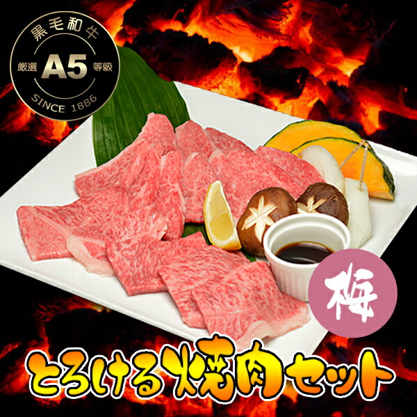 楽天市場】とろける 焼肉セット 梅コース＋追加オプション 750g