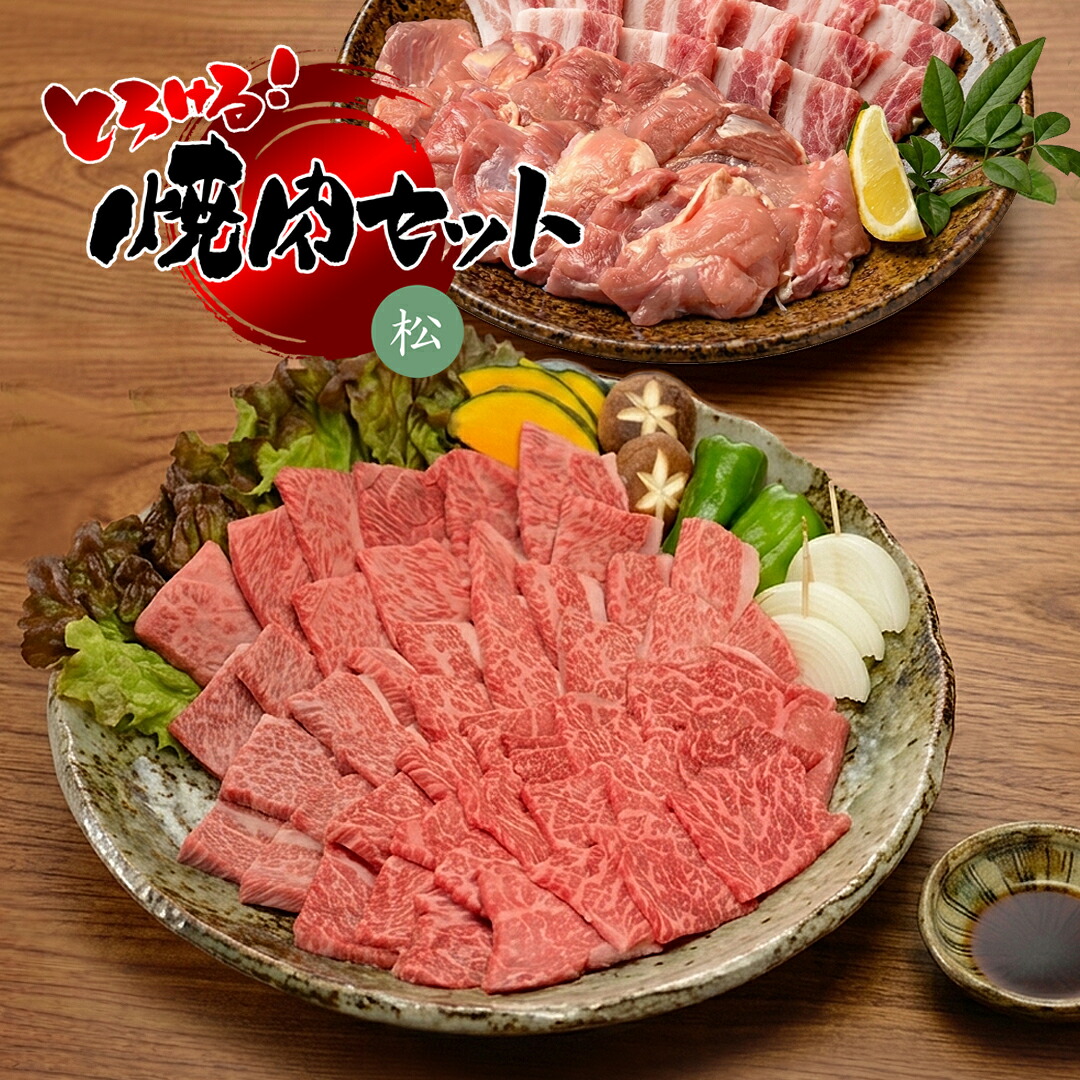 【焼肉＆BBQセット】とろける 焼肉セット 松コース＋追加オプション 1.25kg （カルビ250g＋極上バラ250g＋霜降り肉250g＋豚バラ250g＋桜島鶏モモ肉250g / 7～8人前） 送料無料 黒毛和牛 A5 牛肉 焼肉用 焼肉 焼き肉 ヤキニク BBQ カルビ かるび 対応 冷凍便｜創業明治19年大和榛原牛うし源本店