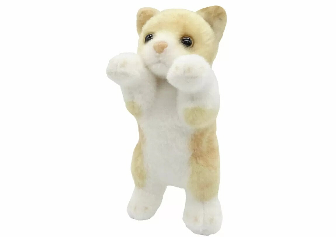 テディ猫ちゃん 楽天市場】\平日9時までの注文で即日発送/【TST スナネコ