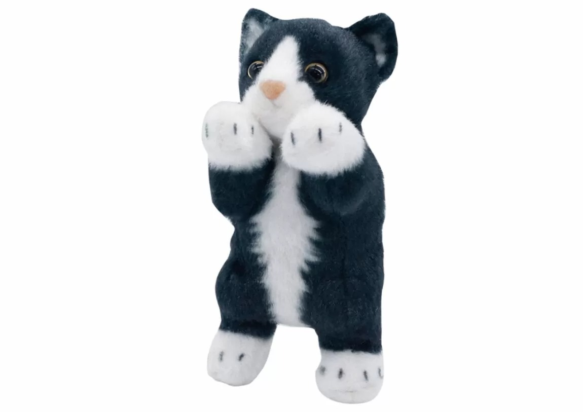 たっちぃZOO にゃんこ 自立ぬいぐるみ シャム猫 ３匹セット 新品タグ付き たっちぃZOO にゃんこ 自立ぬいぐるみ シャム猫 3匹セット 新品