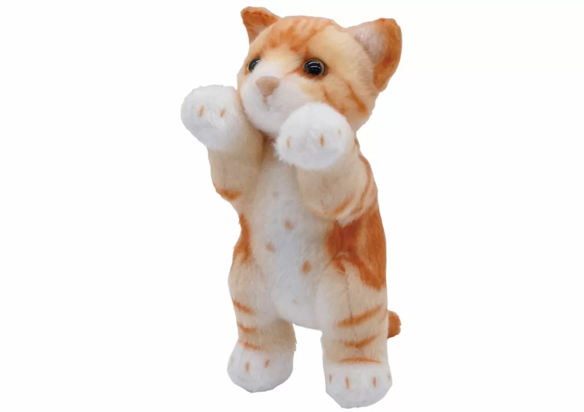 楽天市場】たっちぃZoo にゃんこ 三毛猫 たっちぃZOO ニャンコ
