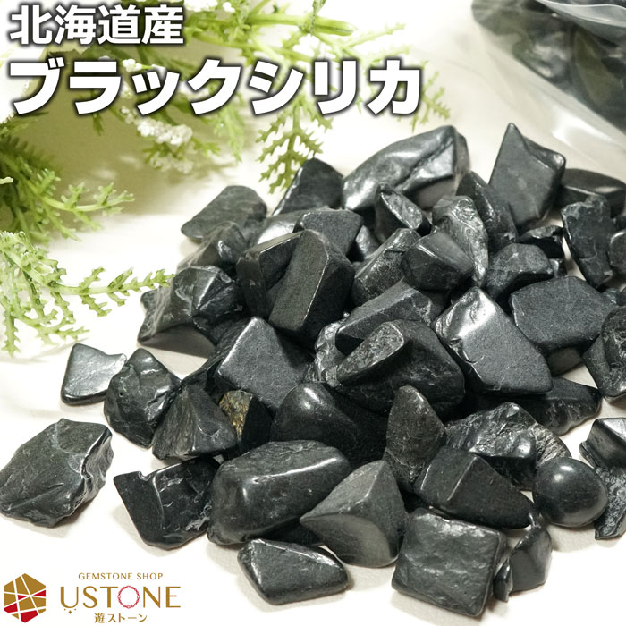 楽天市場】【10％OFF】ブラックシリカ さざれ 北海道産 100g 研磨済み