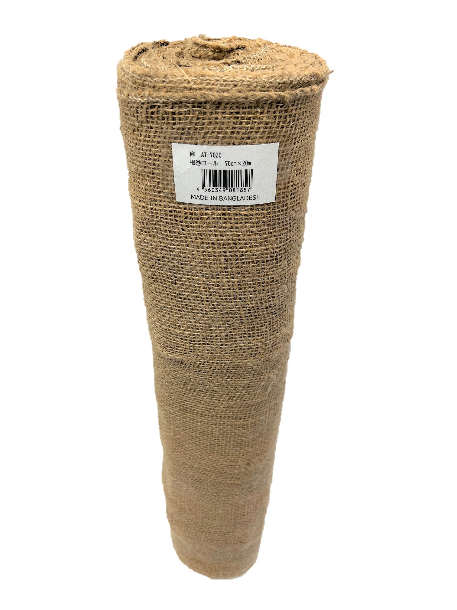 LA ALBERO ロストラータ専門店 上級根巻き個体 2026年最新