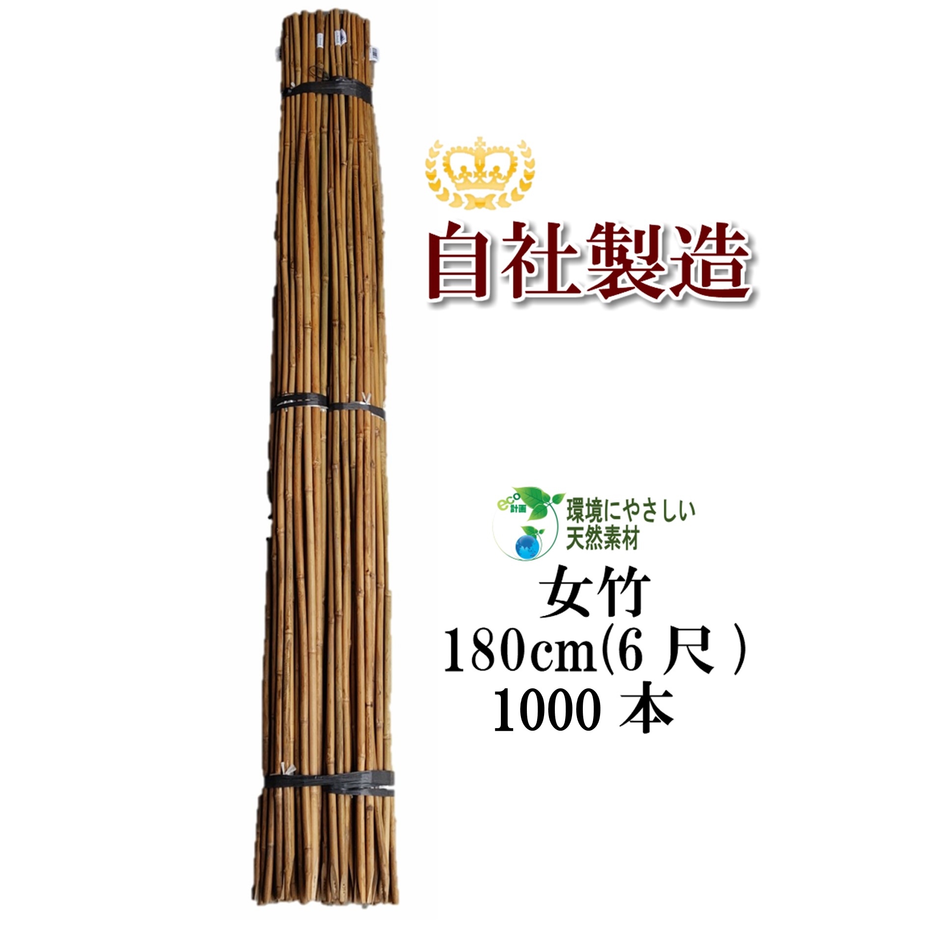 imgrc0081270192.jpg