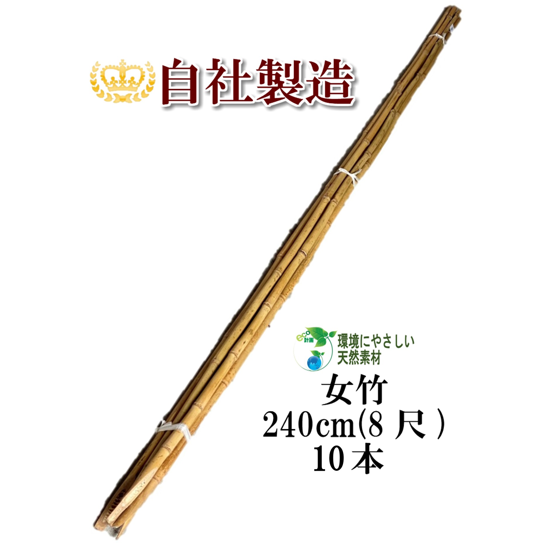 imgrc0081270237.jpg