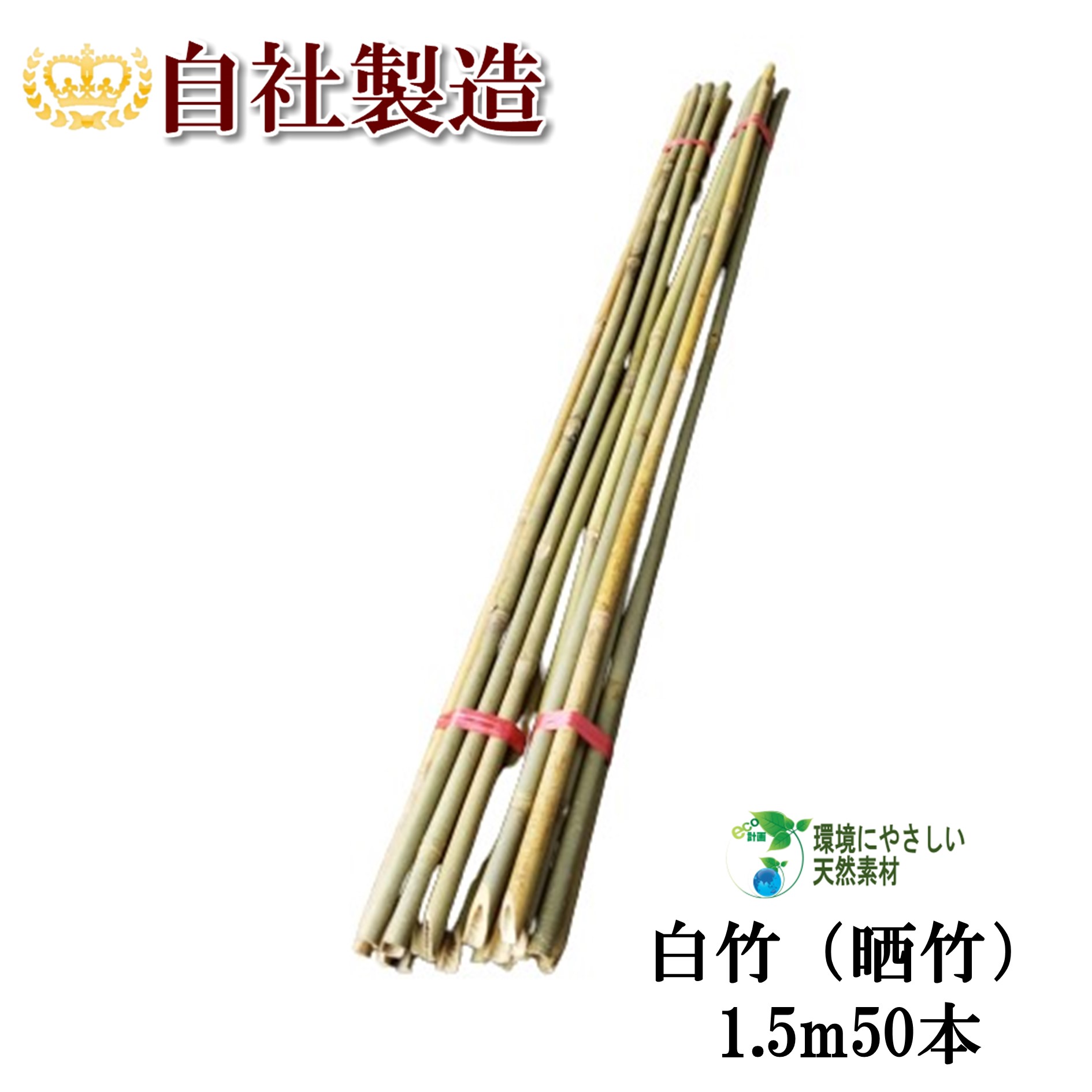 imgrc0083167049.jpg