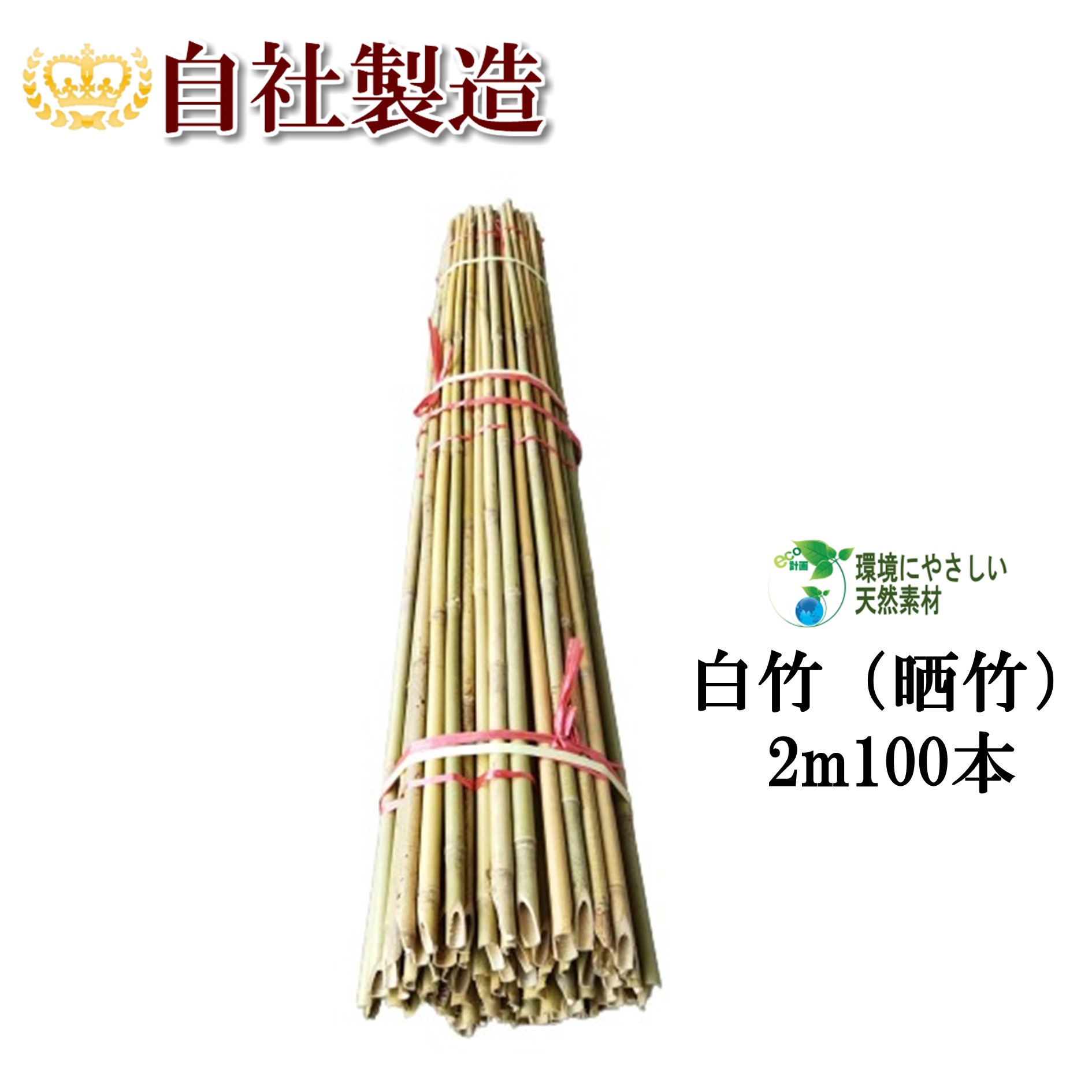 楽天市場】女竹 60cm 100本 篠竹 添え木 竹支柱 農業支柱 園芸