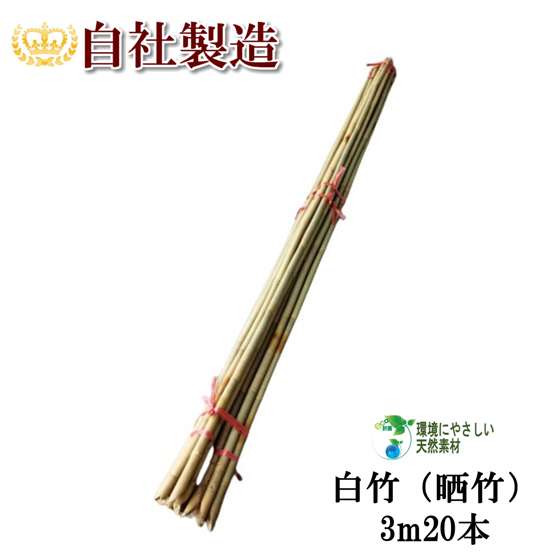 楽天市場】白竹（晒竹）2.5m 10本 天然竹 竹支柱 雪吊り 雪囲い 添え木