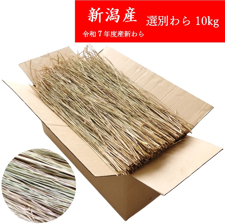 【楽天市場】選別わら 約80cm 10kg 新潟産 令和7年度産 国産 稲わら 藁 わら：臼井農畜産