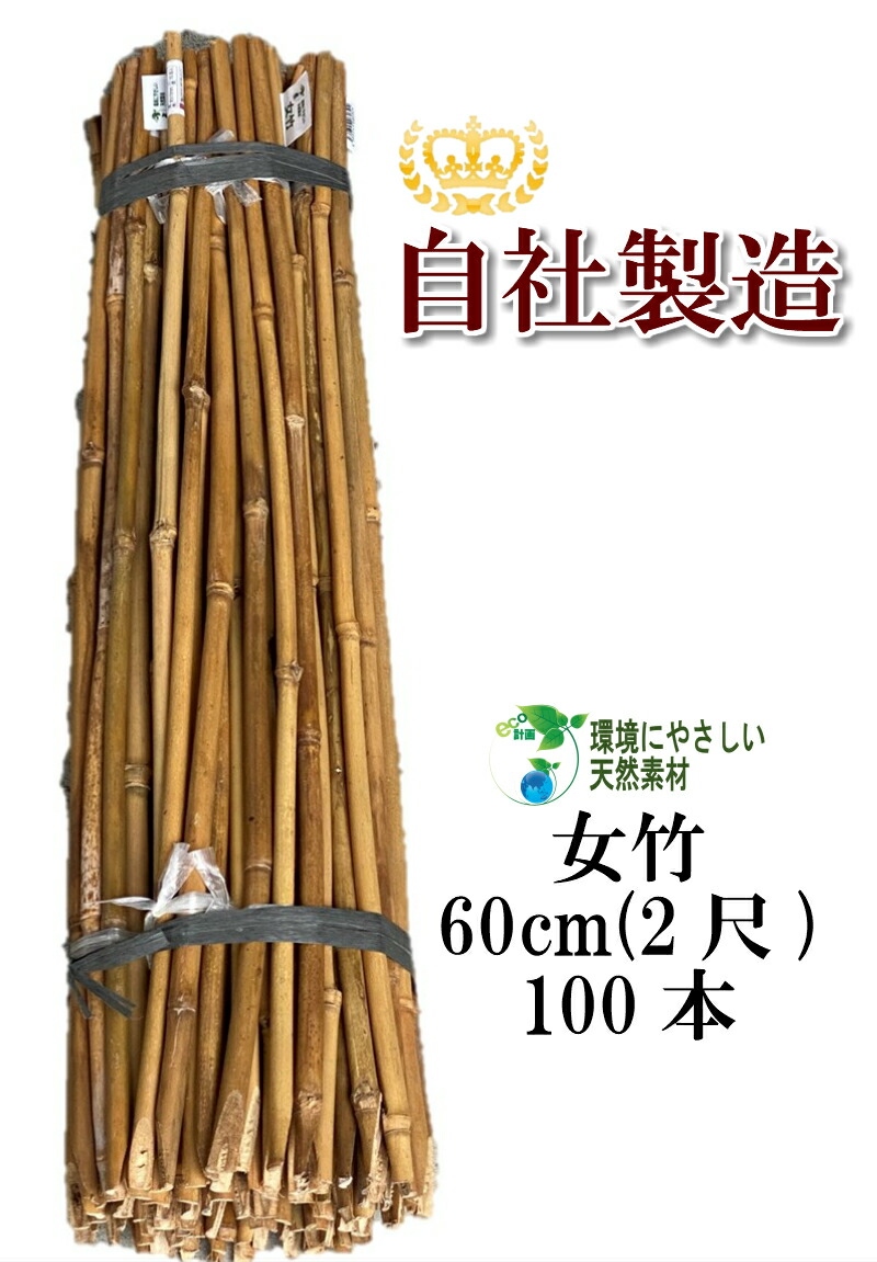 楽天市場】天然竹 女竹 60cm100本 め竹 めだけ 篠竹 しの竹 添え木 竹