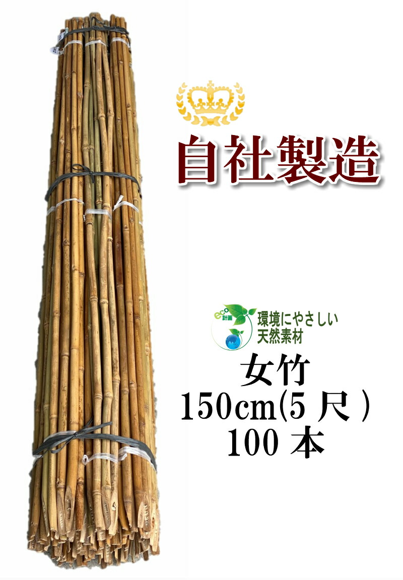 楽天市場】女竹 60cm 1000本 篠竹 しの竹 添え木 竹支柱 農業