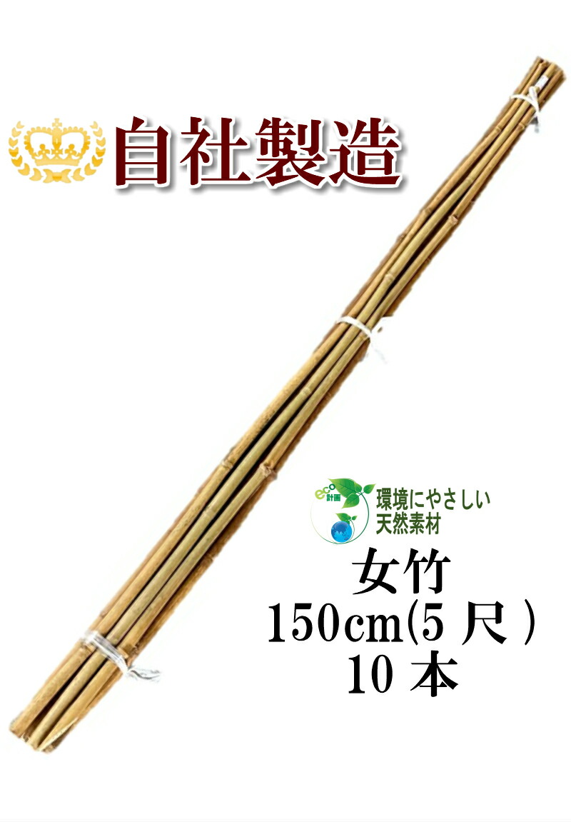 Amazon.co.jp: 愛媛県産 たけのこ 5キロ : 食品・飲料・お酒