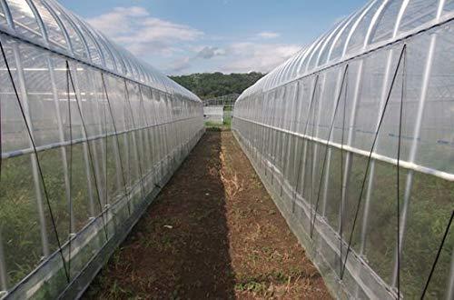 昭和パックス(Showapattkusu) 農業用POフィルム スソ張り専用農PO 0.2x100x100m