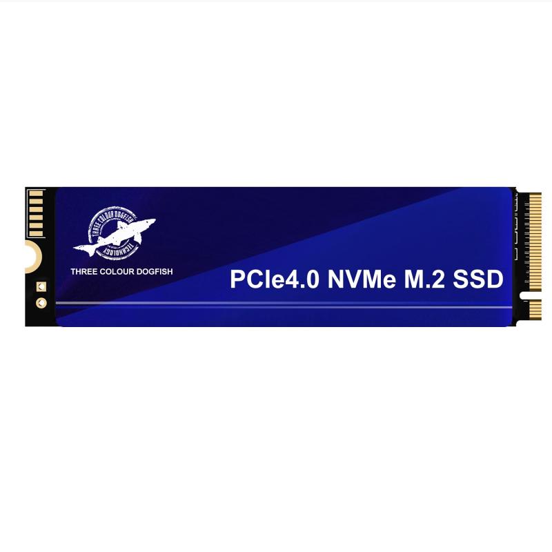 3色 ドッグフィッシュ SSD 白いこと