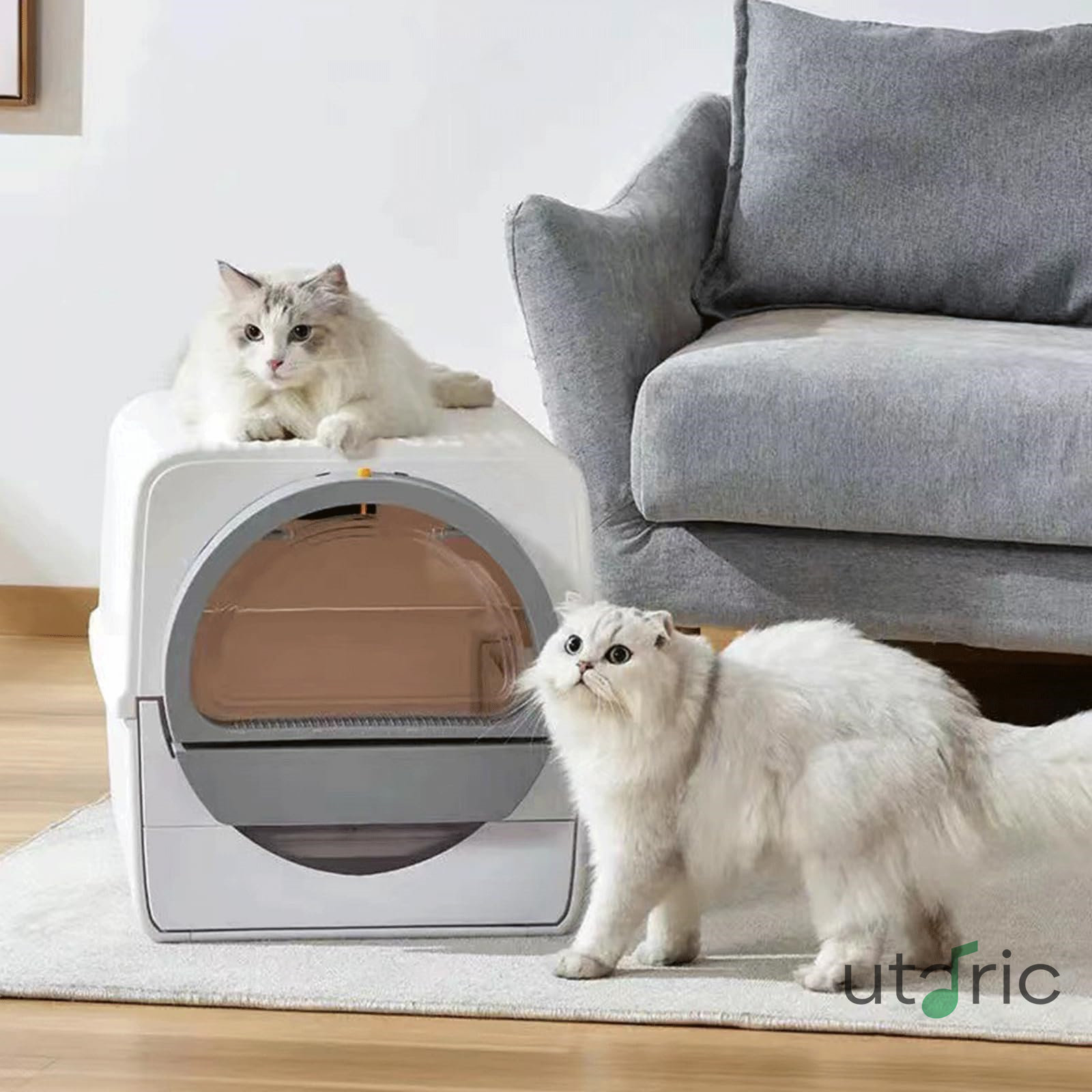 GrnArt 猫用室内用便器 猫用自動小銃室内用便器 猫用抽き出し 蓋付き添い人 電動 自動小銃 猫用室内用便器ボックス席 大型 洗い濯ぎし分かりやすい 部屋の入り口遣りかた 異臭引きはなす 猫設備 お襁褓取り替えっこボックス席 半自動小銃