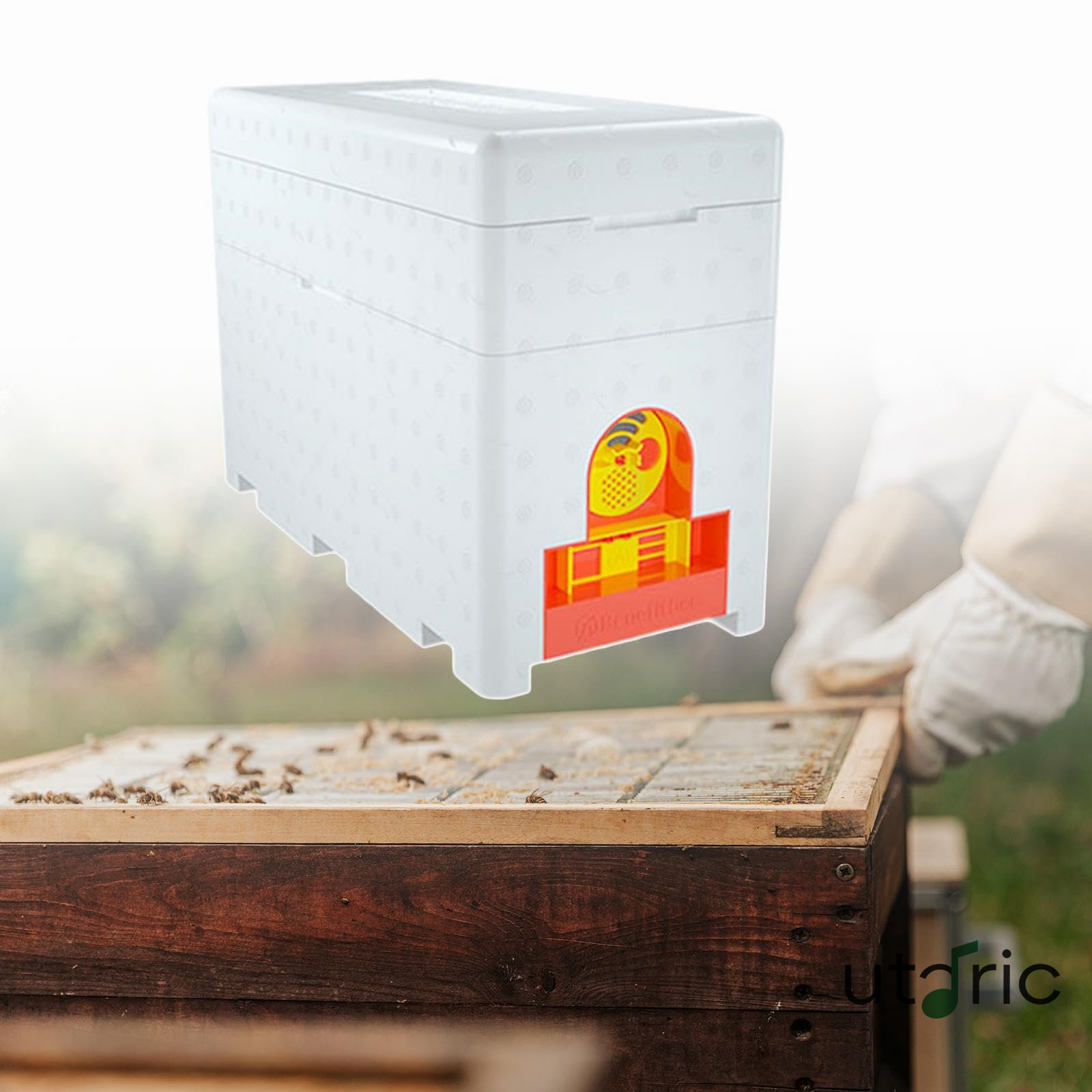 楽天市場】ニホンミツバチ捕獲箱用：『巣枠（5枚セット）』*（石田式