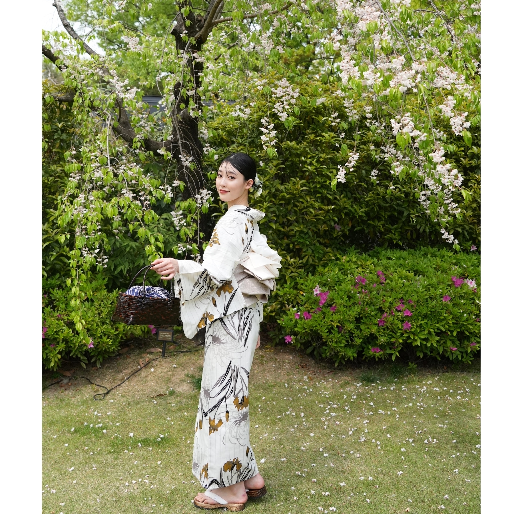 utatane×Acka.】浴衣4点セット 菖蒲と糸菊 white（lame）