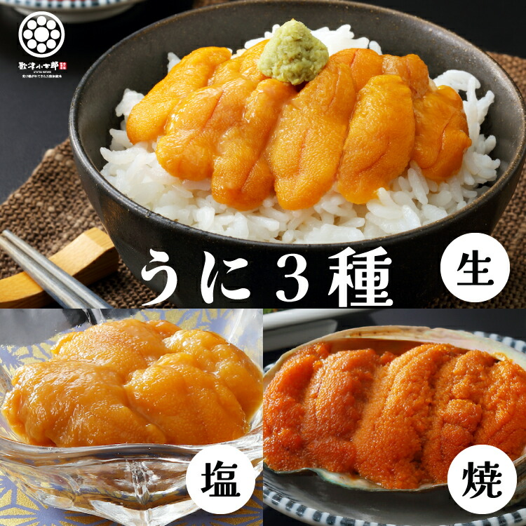 ギフト プレゼント 【 ウニ  3種 セット】 ミョウバン不使用 三陸 雲丹 うに お造り 焼きうに 塩うに  産地直送 送料無料 珍味 冷凍 贈答用 おつまみ 酒の肴 うに丼 お取り寄せ グルメ 高級 海鮮 ハレの日の食卓に三陸の海鮮