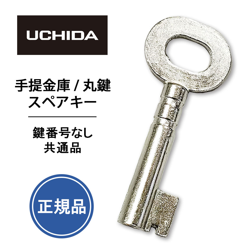 1300 スペアキー、8.9ah以上高品質変更 スペアキー（ユーシン・ショウワ製WG）樹脂付: 合鍵