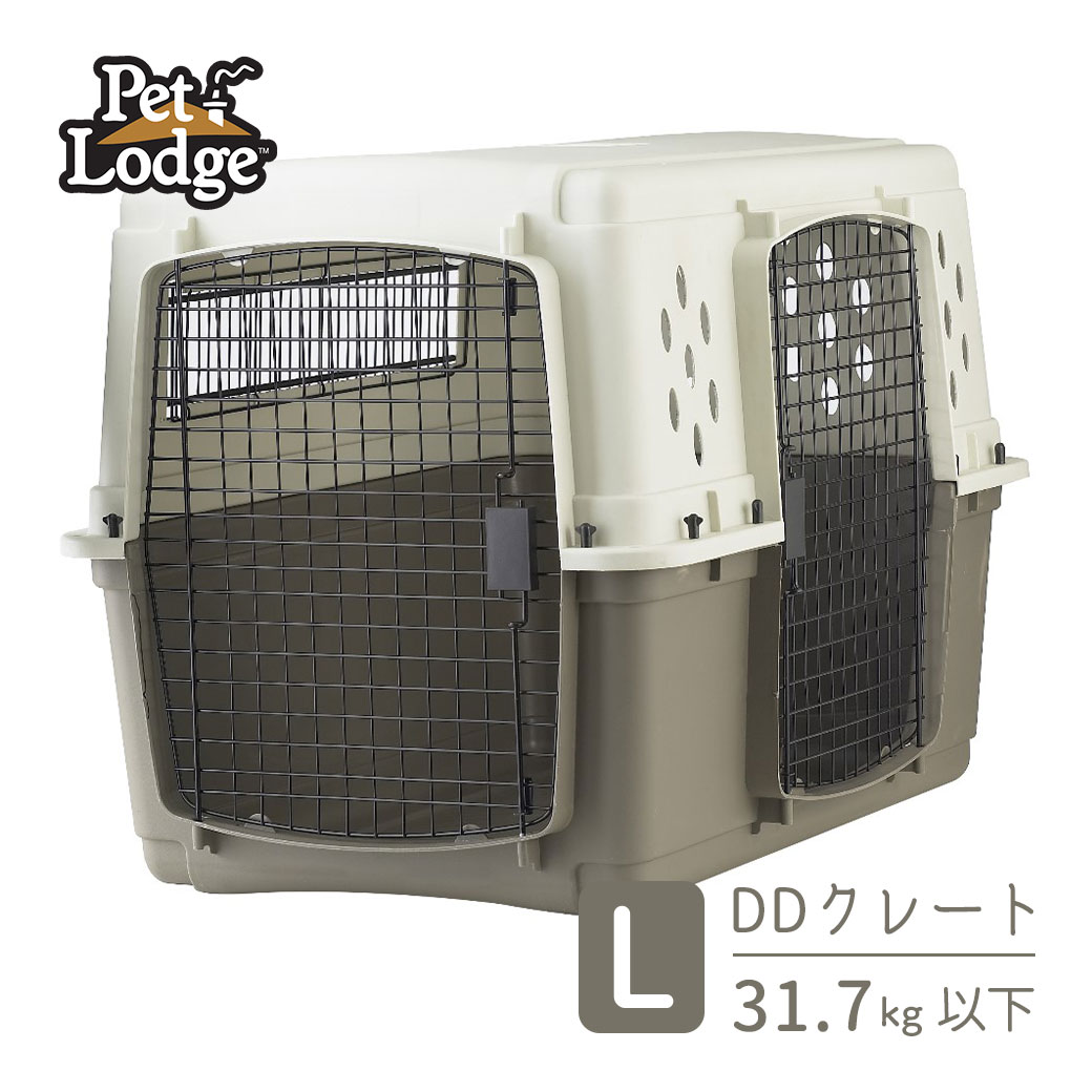 お兄ちゃん感覚的な体験で思わしい世話をする受け支える♪グリニーズCAT！