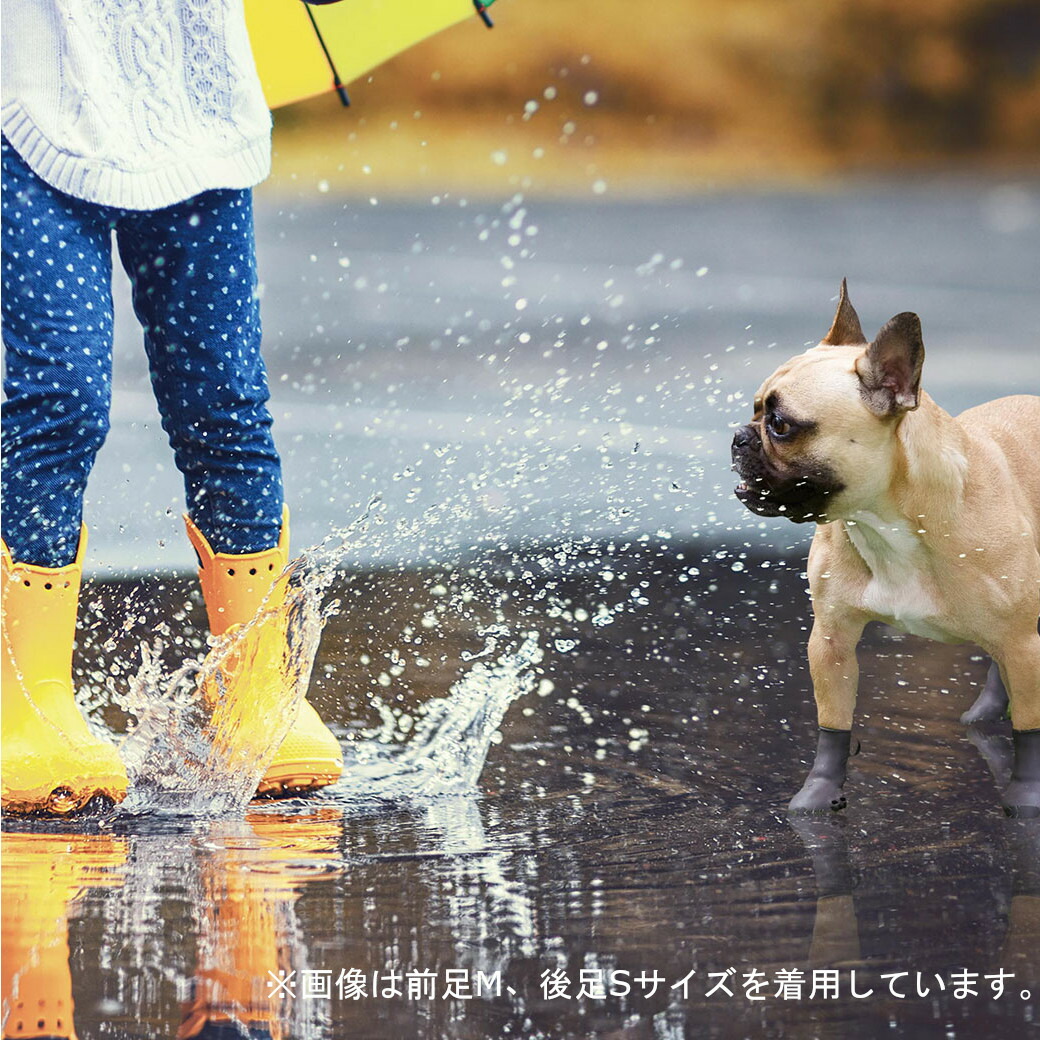 ペットアドバンス 犬用 パウテクト レインブーツ M ダークブラウン 2個入 中型犬用 長靴 靴 ブーツ お散歩グッズ 肉球ケア 保湿 犬用品 | dmsfact.com