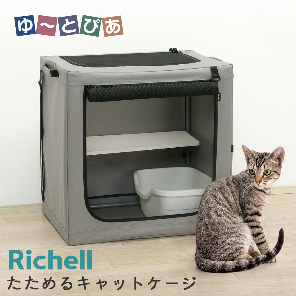 お兄ちゃん感覚的な経験で思わしい世話をする受け支える♪グリニーズCAT！ ペット・ペットグッズ-ケージ