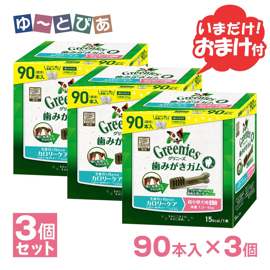 お兄ちゃん感覚的な経験で思わしい世話をする受け支える♪グリニーズCAT！