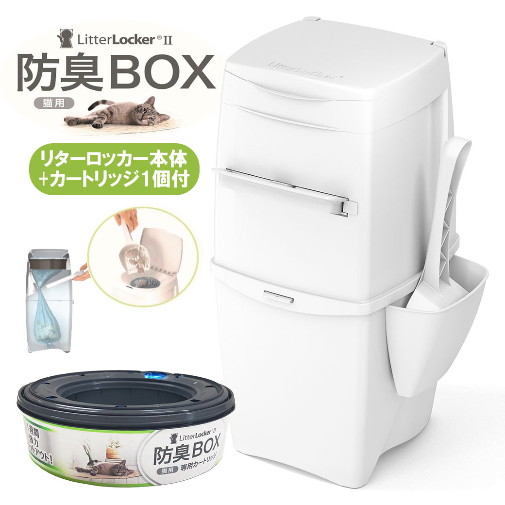 【断捨離】リスティックの研究 ９枚 格安新品 断捨離】リスティックの研究 9枚 マジック：ザ