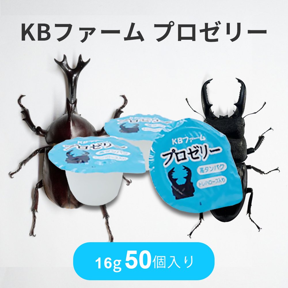 国産プロゼリー3000個KBファーム・カブトムシ　クワガタ 【木ぼく】 楽天市場】むしや本舗 食いつき抜群! プロゼリー（KBファーム社
