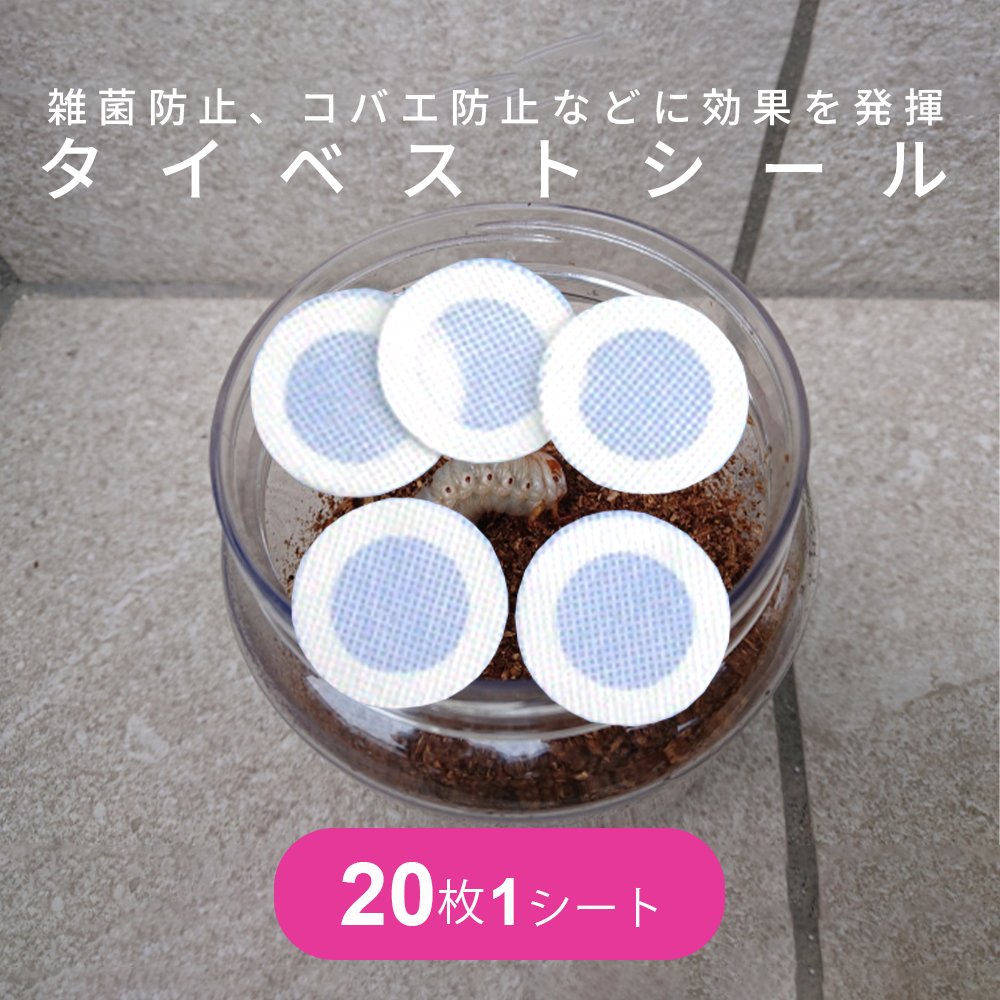 楽天市場】直径42ミリ タイペストシール フィルター（1シート20枚