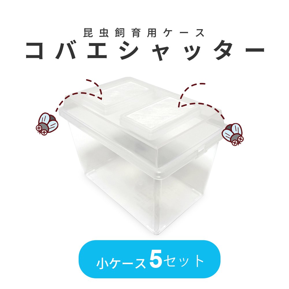 シーラケース　コバエシャッター 昆虫飼育ケース sanko クリーンケースセット Amazon | SANKO クリーンケースセット M | Sanko | テラリウム