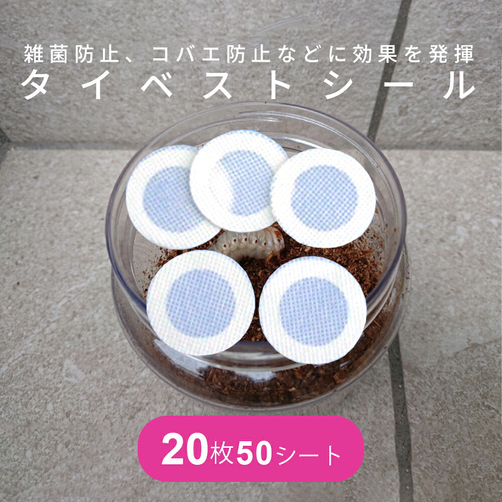 引き分けより良い判子 20個 50腰かけ 計1000個 KB耕園