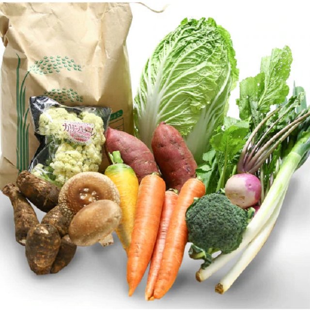 ふくしま厳選野菜・米5キロセット　お中元 お歳暮 父の日 母の日 敬老の日 ギフト 贈答品 お土産 手土産 ふくしま 旬鮮直食材 しのや